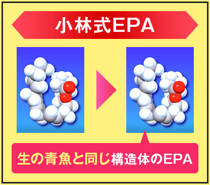 小林式EPA…生の青魚と同じ構造体のEPA