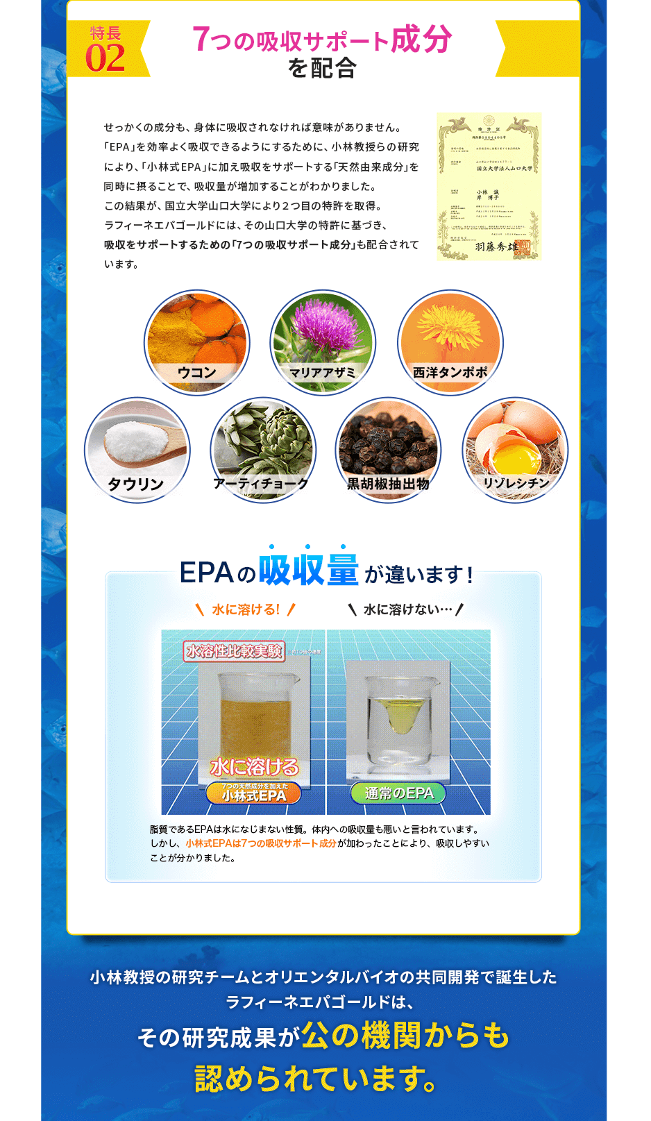 エパゴールド小粒
